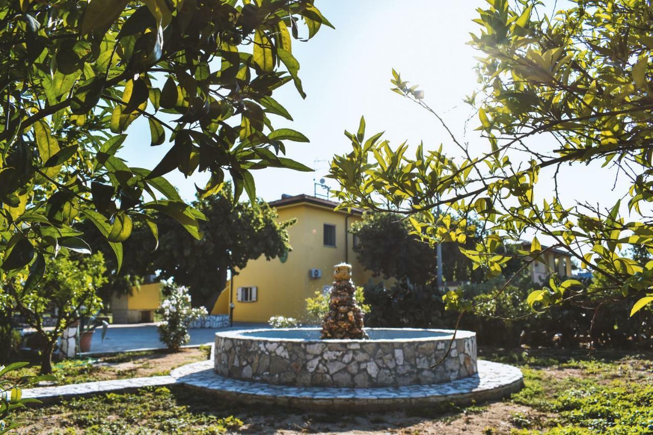 B&B L'Uliveto Marina di Schiavonea Esterno foto